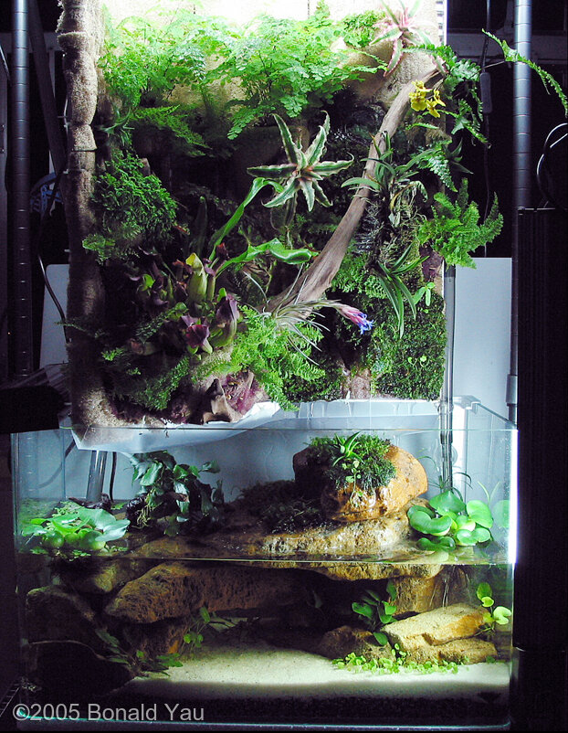 AGA 2005 Aquascaping Contest: #67