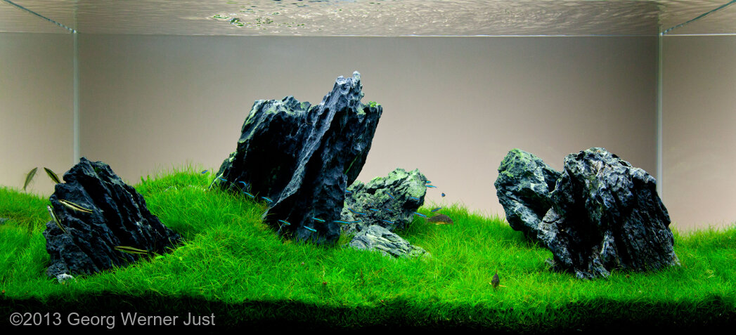 AGA 2013 Aquascaping Contest: #393