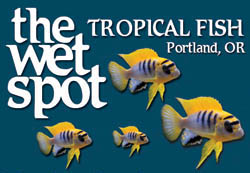 The Wet Spot Tropical Fish