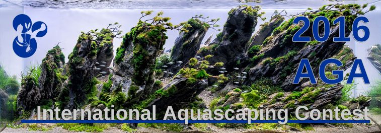 AGA 2019 Aquascaping Contest: #488