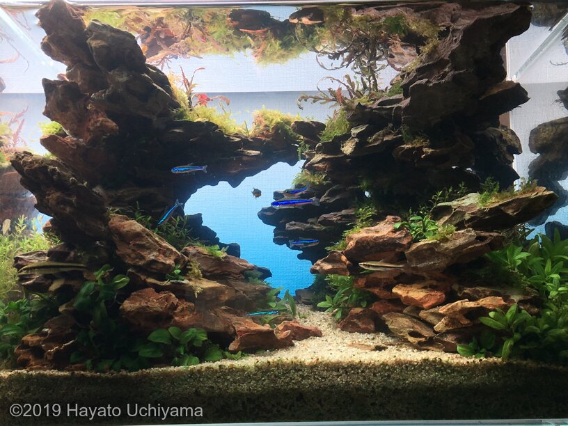 SantaMariaNobella ACQUA カキカキ SantaMariaNobella ACQUA カキカキ SantaMariaNobella ACQUA