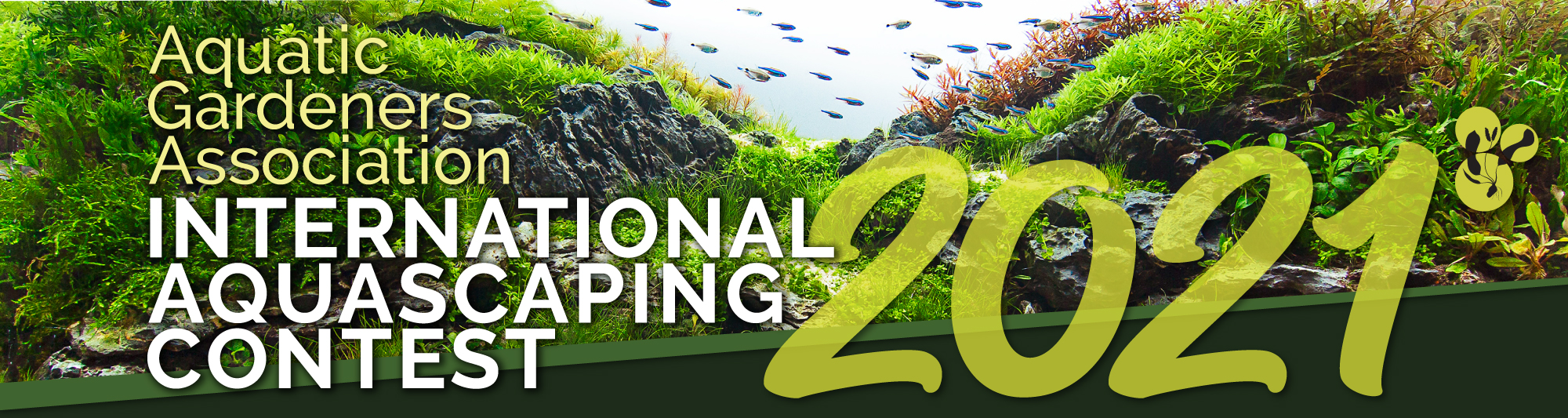 AGA 2021 Aquascaping Contest: #157