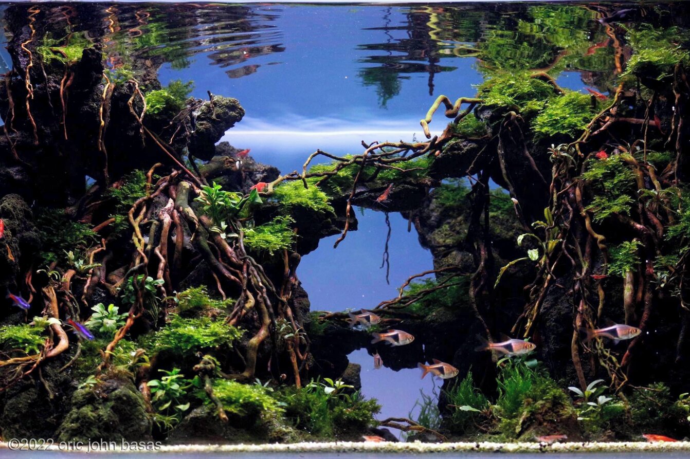 GALAPAGOS Mossy Corner Hide Green 10x5.5 - Roger's Aquatics