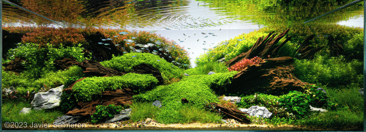 aya様　　SEAGRASS Seagrass Kelly – DANS-LA-MAIN