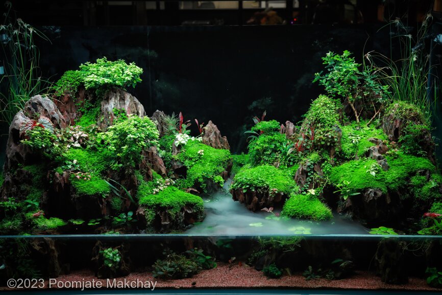 AGA 2023 Aquascaping Contest: #752